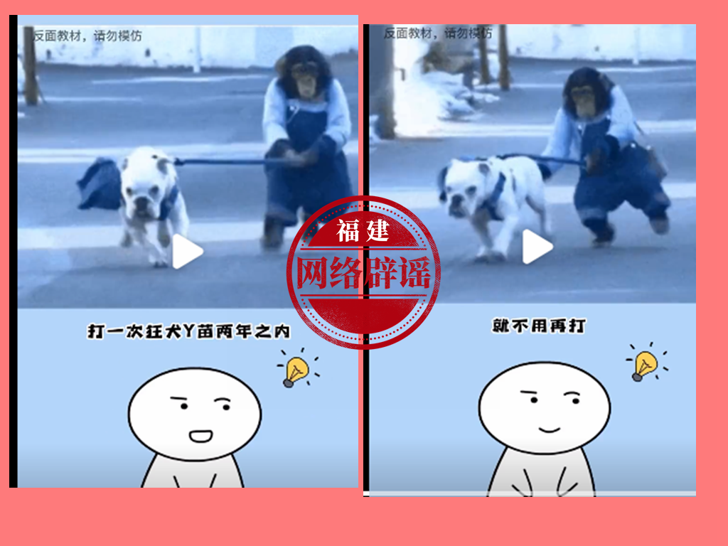网传“打一次狂犬疫苗，两年之内就不用再打”？莫信