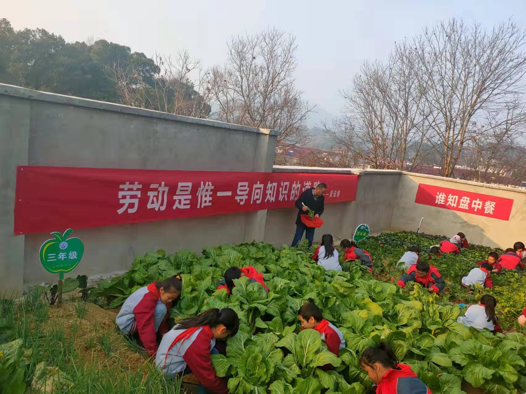 蕲春学校培养学生体育(蕲春县檀林镇中心学校：扬山区特色 挖“双减”内涵)