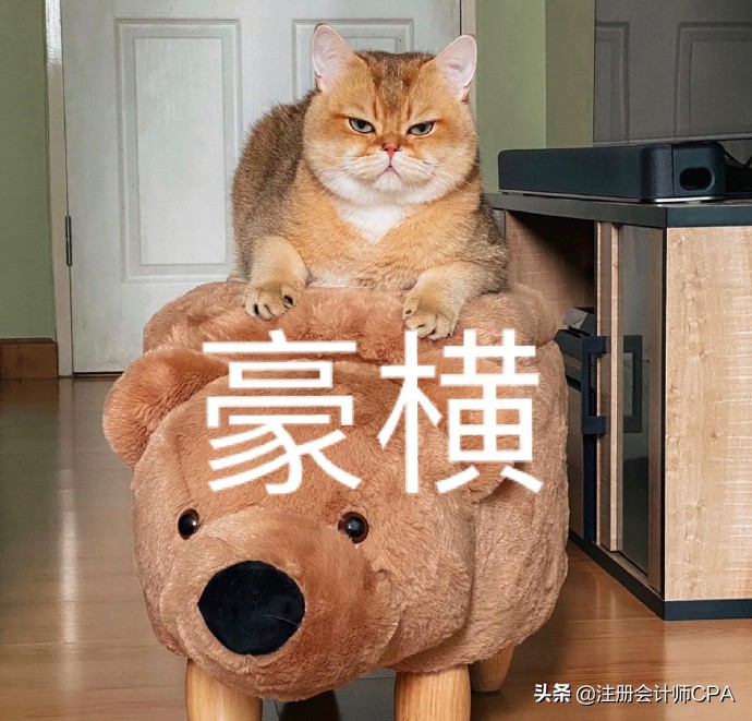 2022注会目标：先把会计给过了！这份提前应考计划收藏好