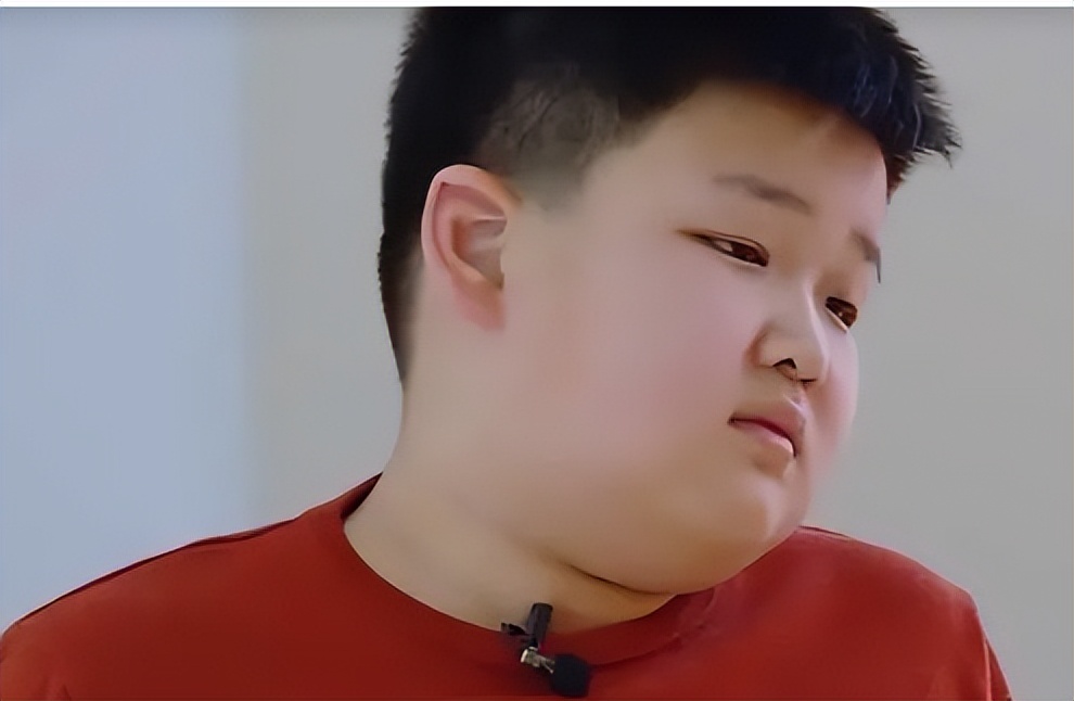 “乐华太子”：史上最惨富二代，体贴懂事的他为何被送去变形记？