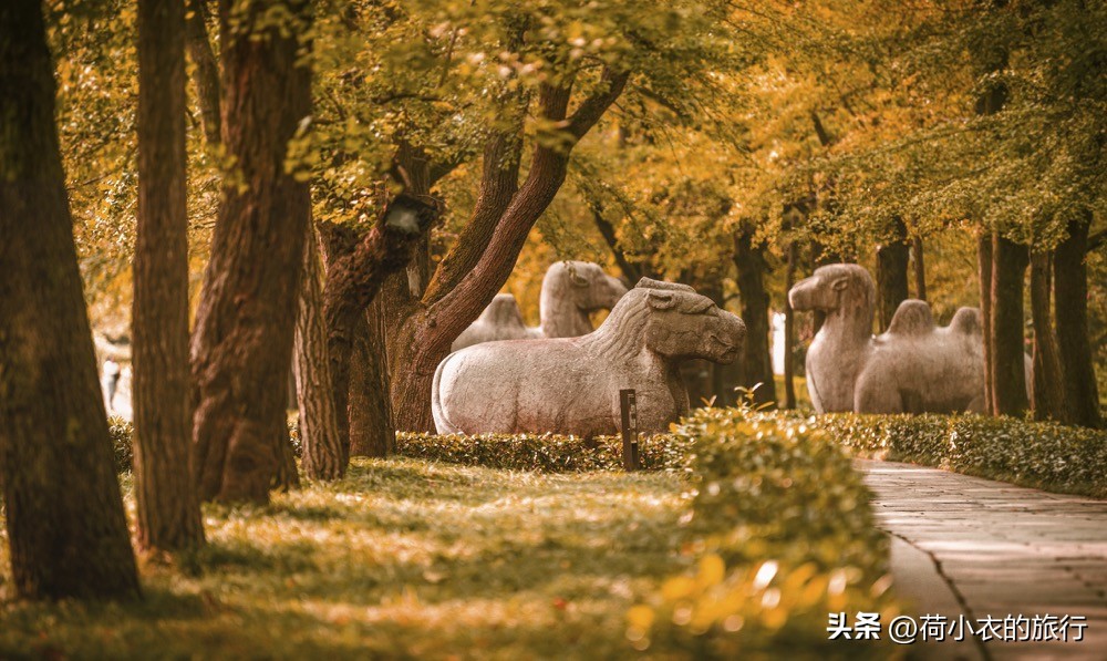 南京好玩的地方（南京好玩的地方有哪些地方免费）-第16张图片-昕阳网