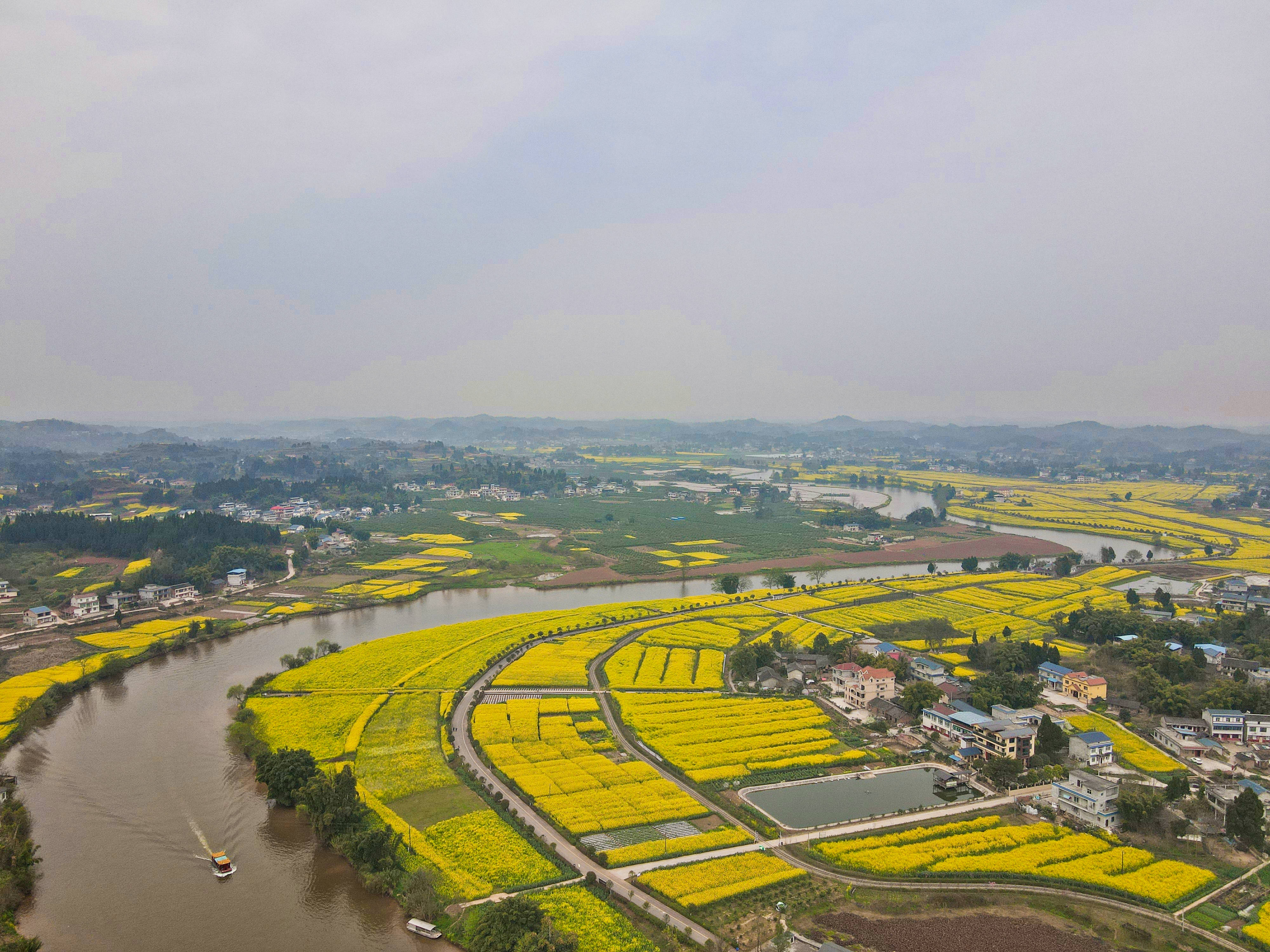 重庆最美赏花地在哪？潼南油菜花名列前茅，栽种历史已经500年