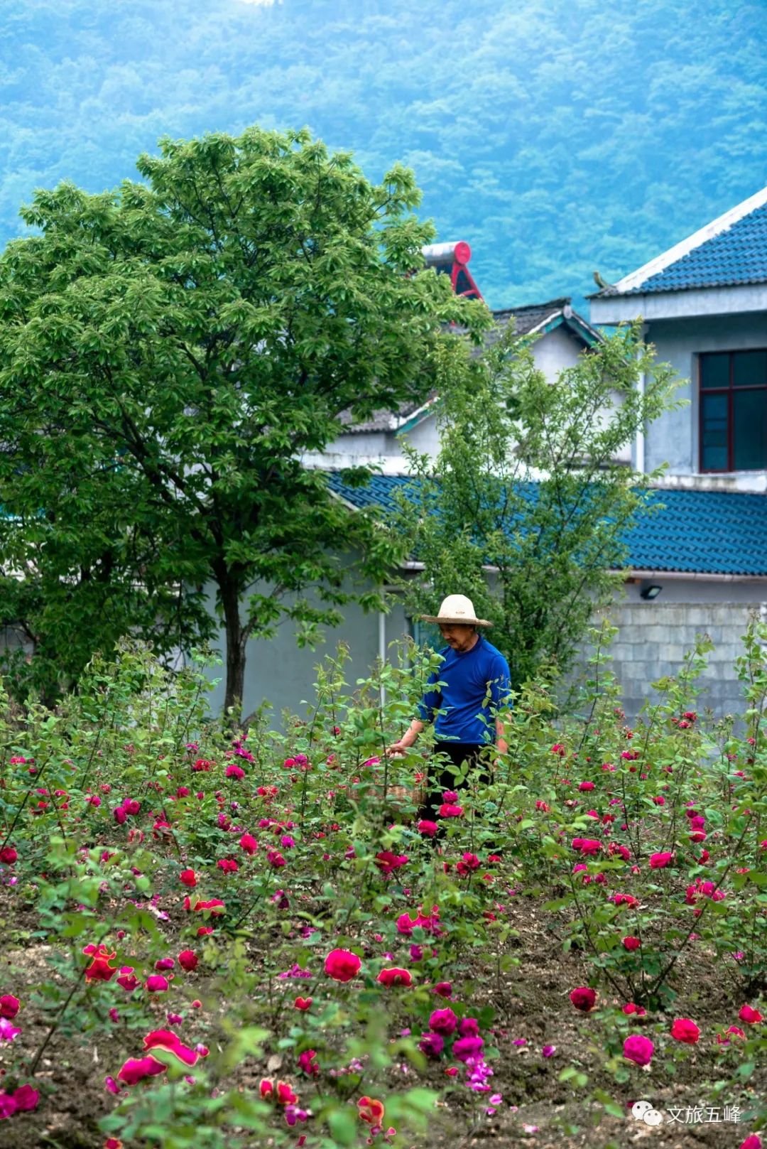 快乐不打烊！宜昌这些地方景美人少还免费！