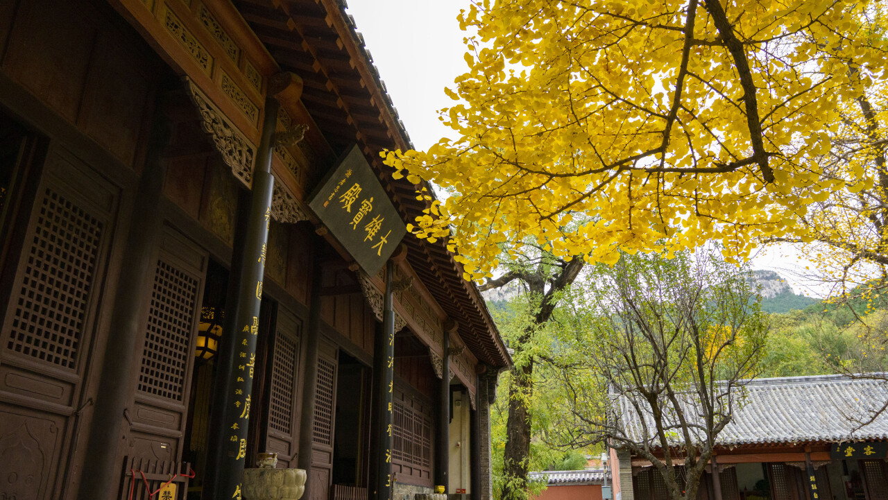 济南有哪些旅游景点（山东济南有哪些旅游景点）-第7张图片-科灵网