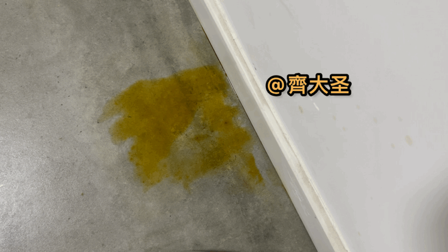 拖地哪家强？四款热销扫拖机器人实测（石头/云鲸/360/科沃斯）