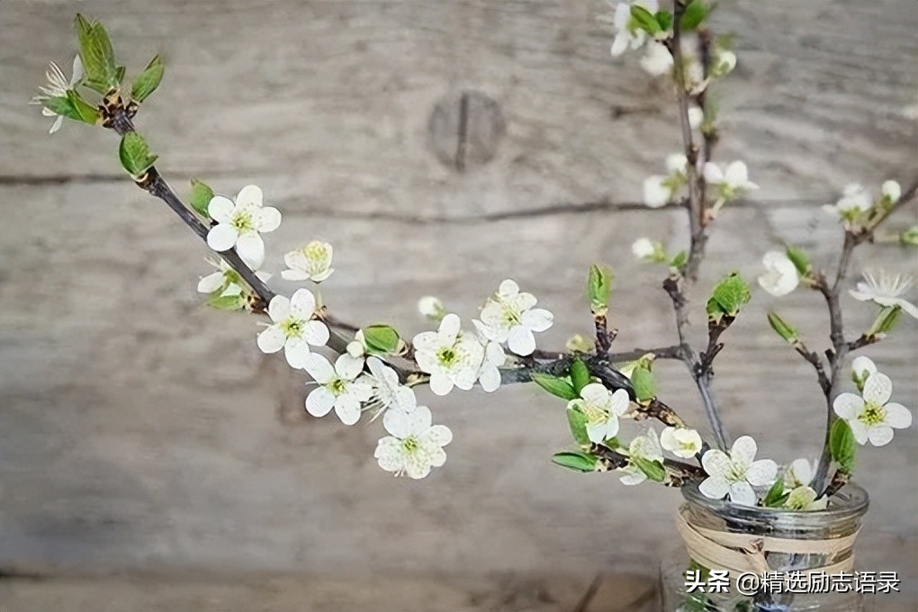 让灵魂，在风雨中学会微笑