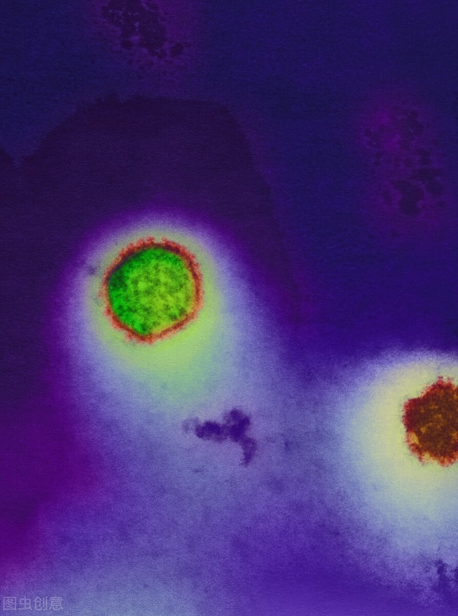 西安出现多例出血热，竟是因为吃草莓？危害堪比埃博拉？辟谣解读