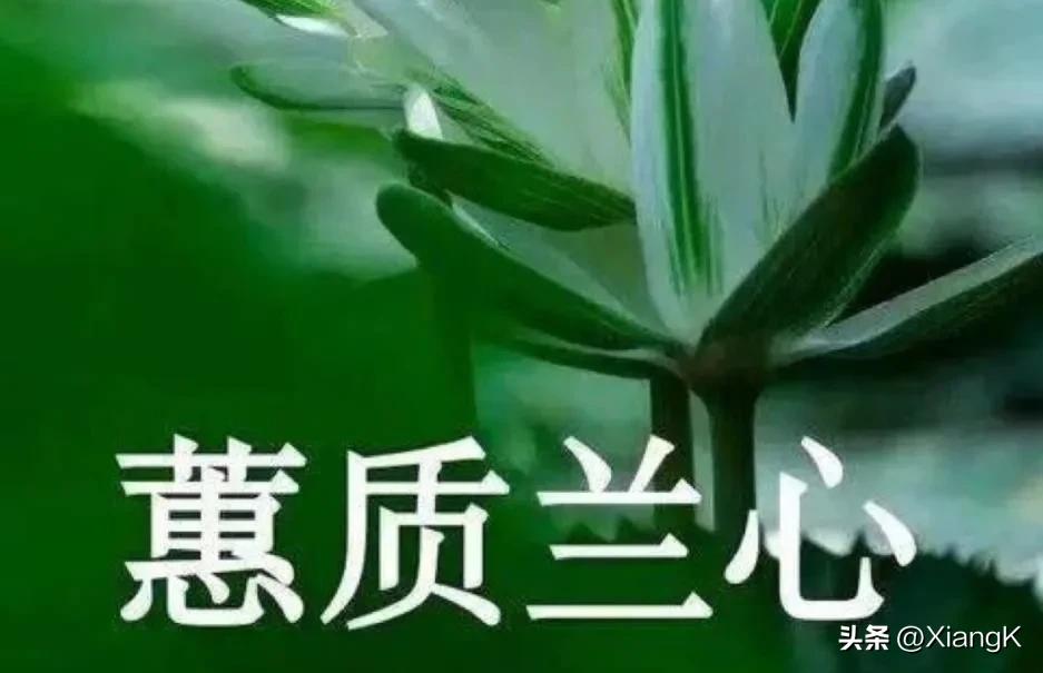 慧心兰质是什么（惠心兰质意思）-第5张图片-科灵网