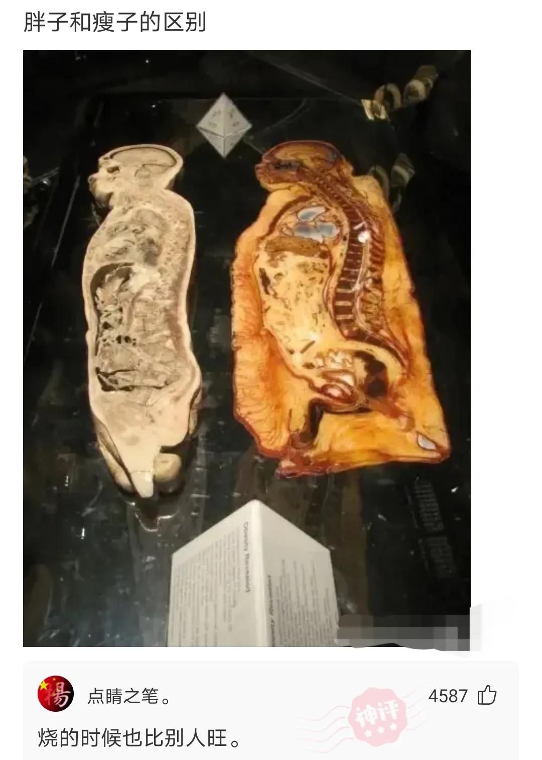 人寿车险神评爆笑合集：车主吐槽太真实，看完笑到肚子疼！