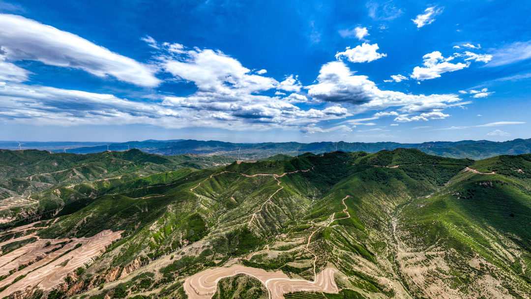 一岭一脉皆娄烦丨在灵钟山找寻夏天的足迹