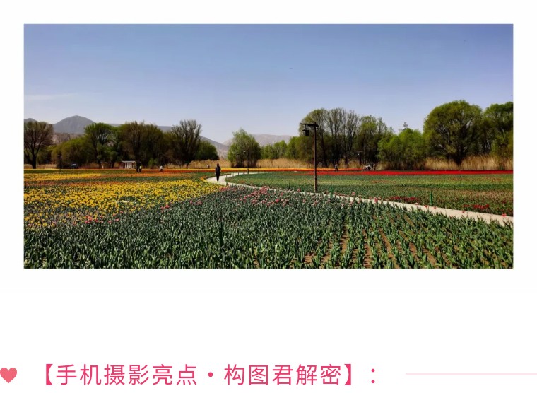 21个技巧，再助你手机拍大片！（影展点评第545期）