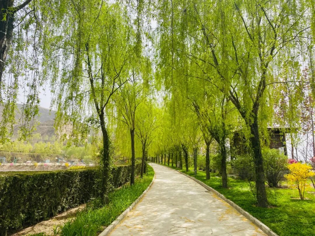 描写度假山庄的优美句子