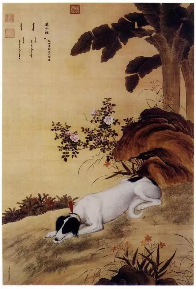 清代宫廷画家郎世宁的（清代宫廷画家郎世宁的什么图描绘了姿态各异之骏马白皮）-第30张图片-悠嘻资讯网