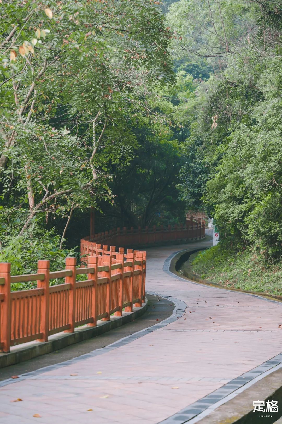 深圳的旅游景点有哪些地方（深圳的旅游景点有哪些地方不用预约）-第5张图片-易算准