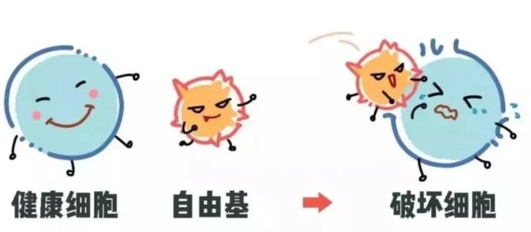 想要预防慢病、抗衰老，这些身体毒素一定要清理出去