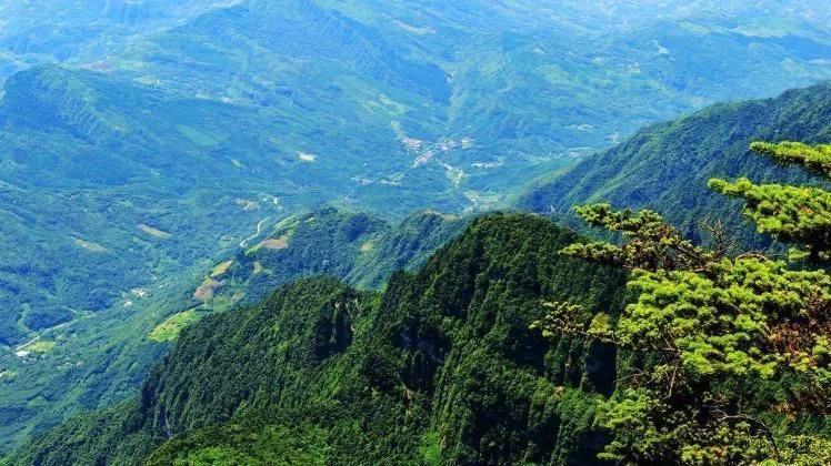 中国著名的四大名山，爬过两座算合格，要是全部去过就算厉害了