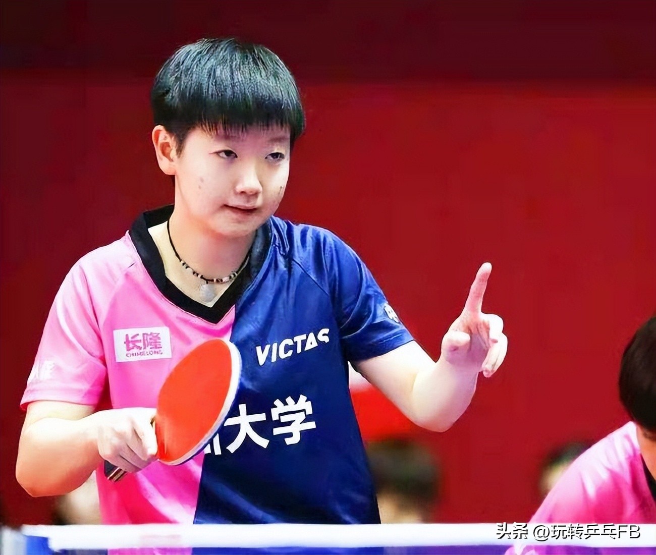 世界乒乓球拍品牌排行前十大(顶级乒乓球运动员都用什么球拍,快来看看