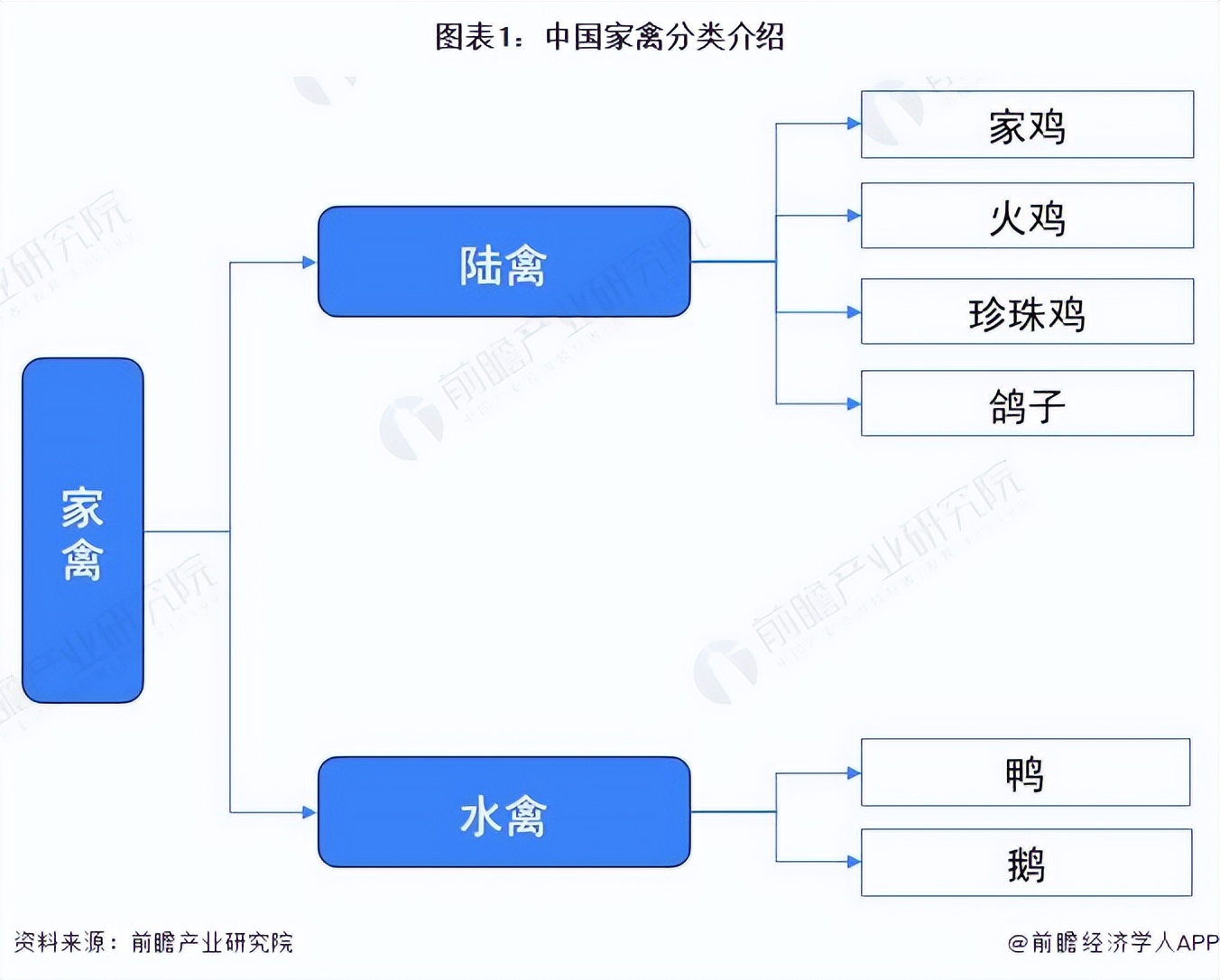 2022年中XXX禽养殖行业发展现状分析 家禽养殖规模平稳发展