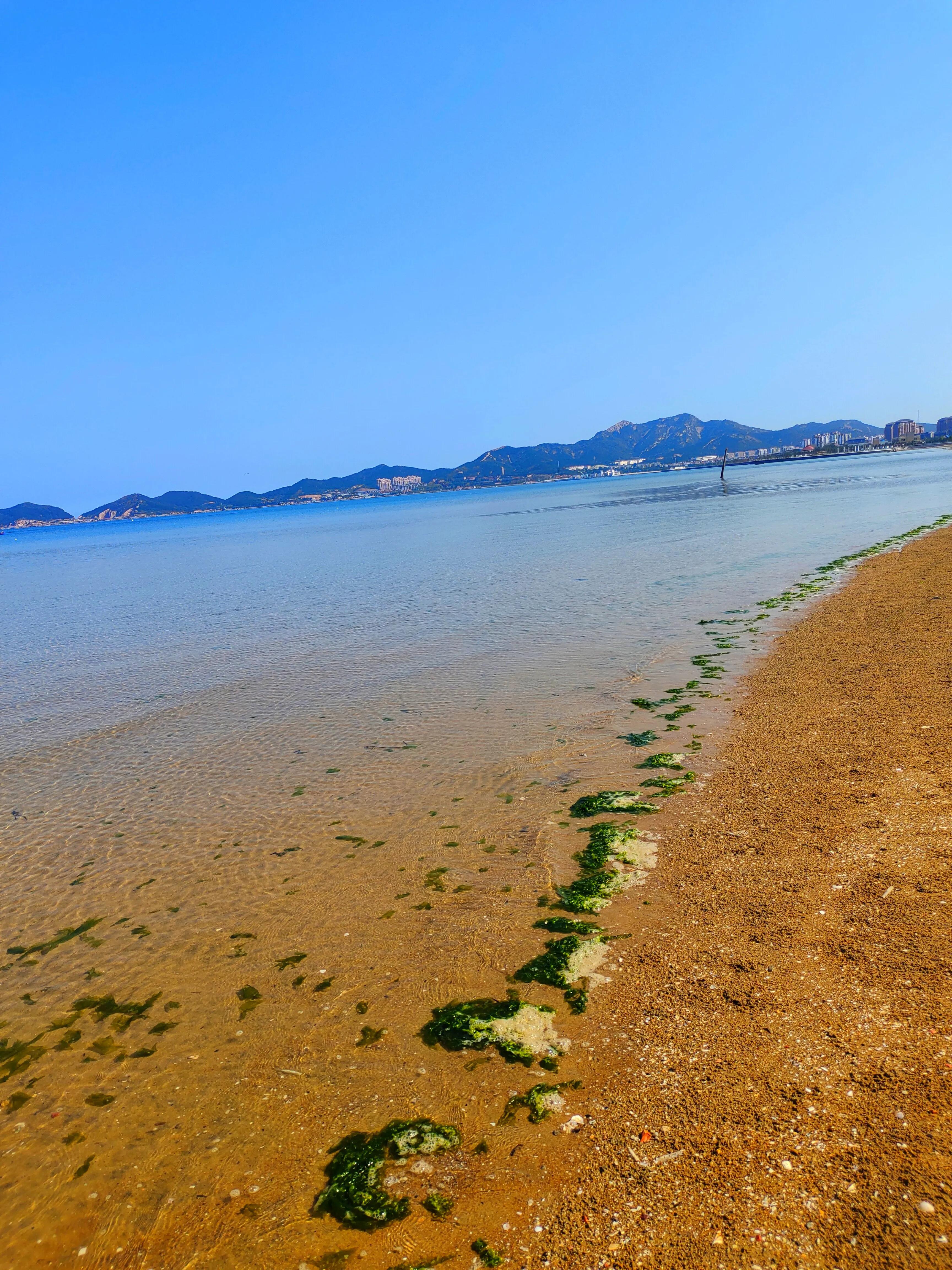 水天一色间，问一声那海鸥