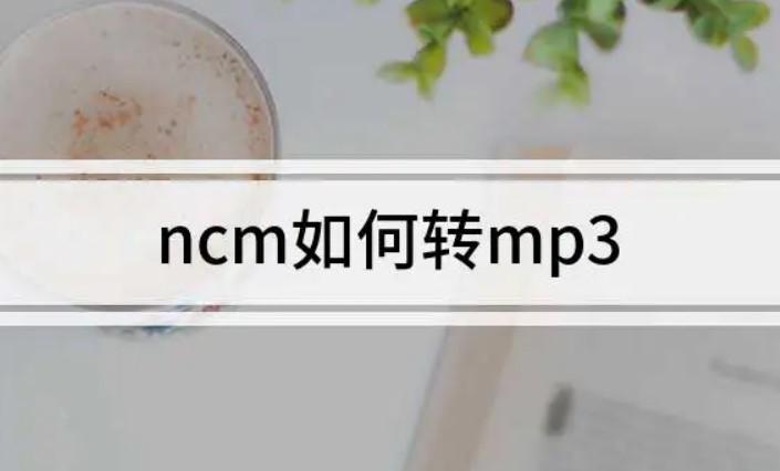 ncm在线转换mp3格式：ncm转mp3，超简单教程来咯