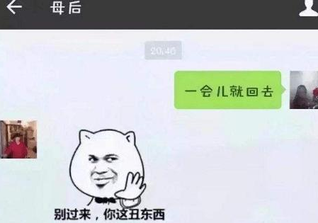 男大学生和父母的“聊天记录”走红，上演一部宫斗剧，画面感十足