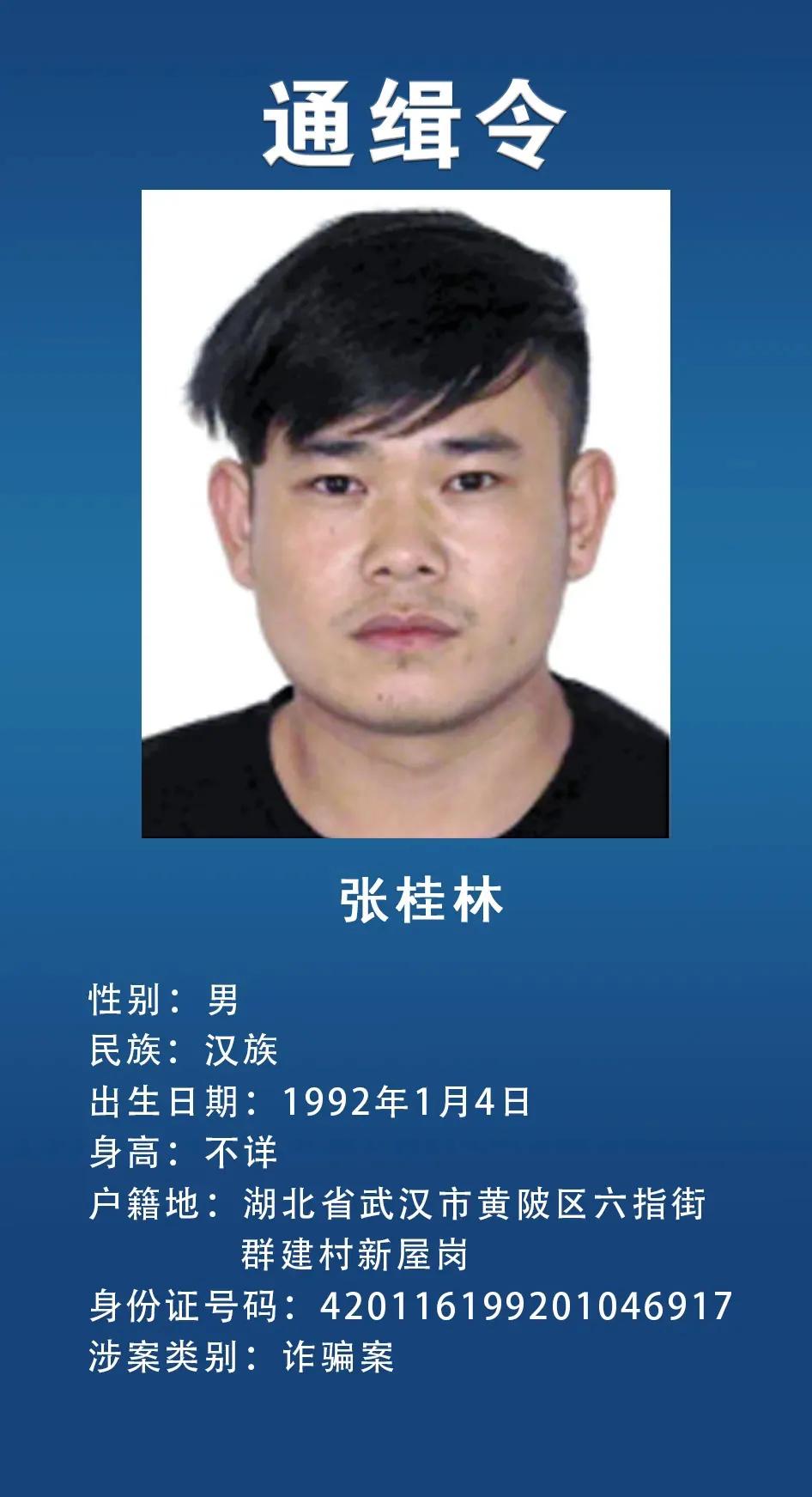 网上通缉犯,网上通缉犯怎么查