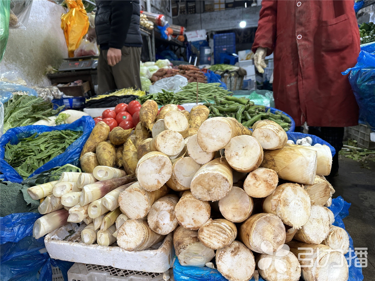 供应充足！苏州春节前“菜篮子”总体平稳