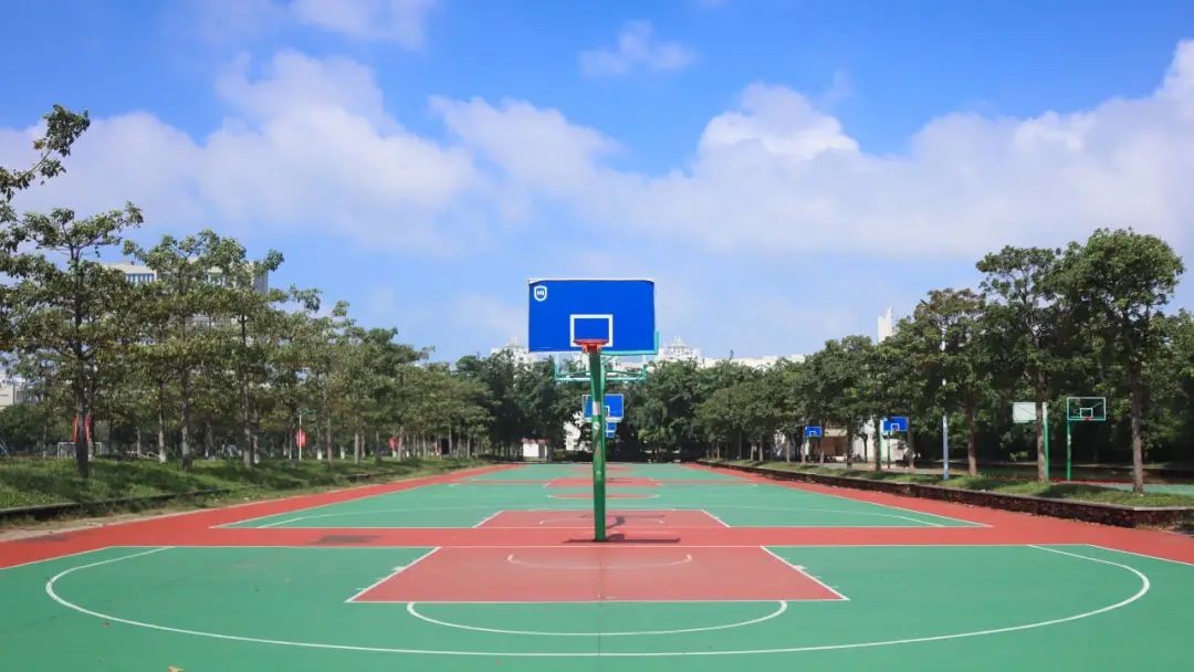 视觉盛宴！海岛风光惊艳众人，这些藏在一流大学中“打卡地”火了