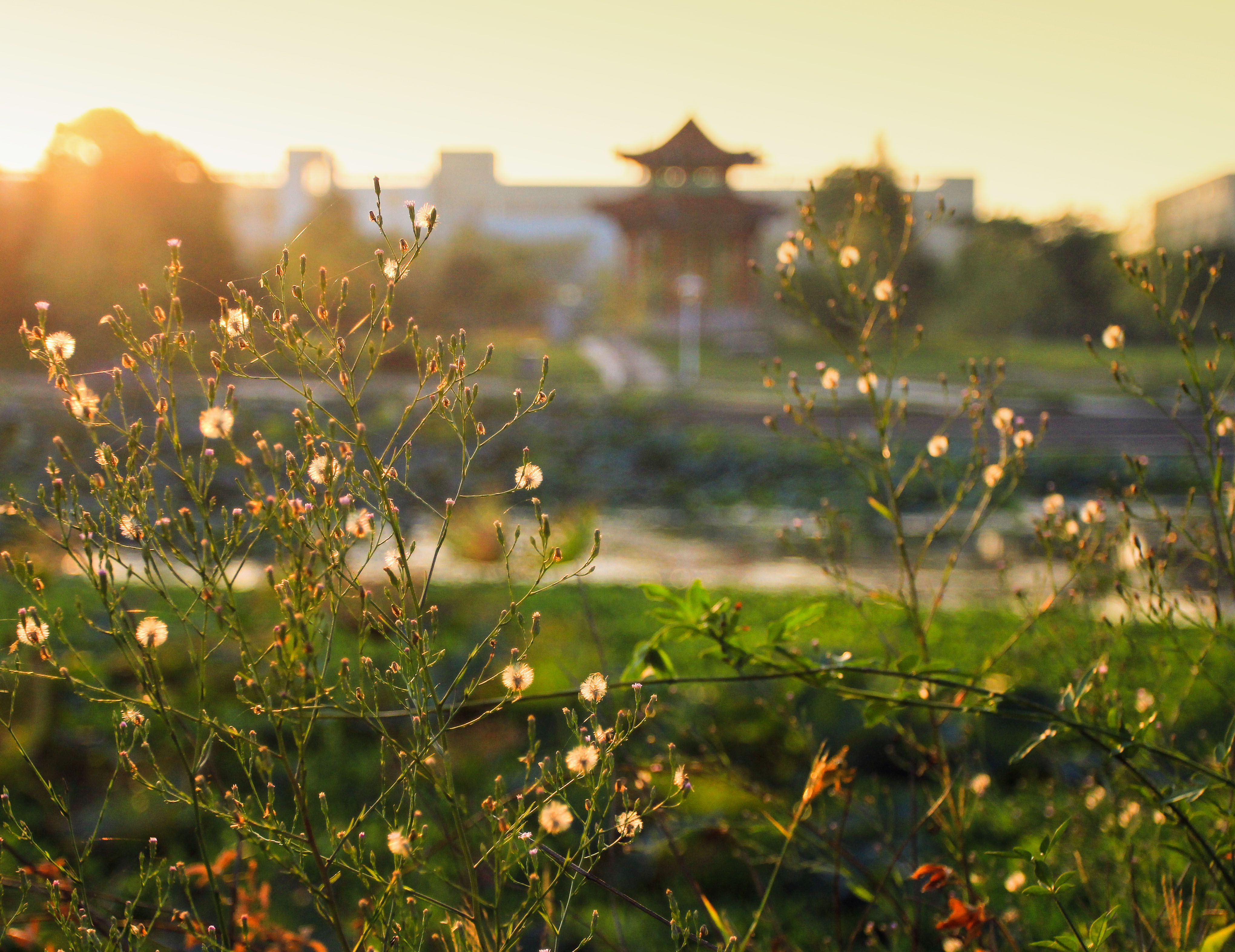江西这所学院更名为大学，校名“江西水利电力大学”，网友称赞