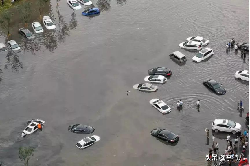 暴雨成河，比亚迪海豚秒变真海豚“河中游泳”，网友：爱车很受伤