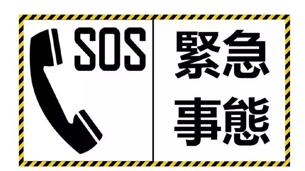 几招防狼小技巧，学会保你受益终身