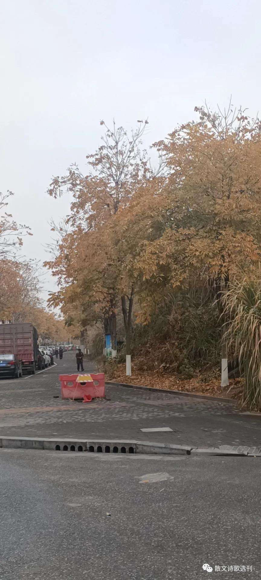 冬日絮语，漫谈自媒体达人及网红现象