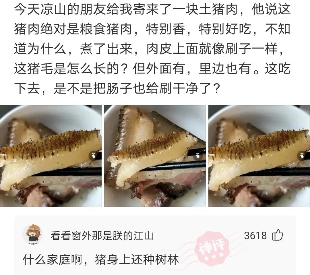 神评爆笑合集：变形金刚买保险，是买车险还是人寿险？