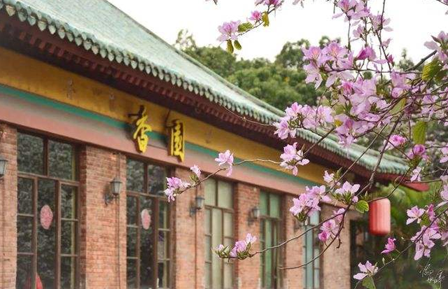 2022农林类高校金字塔出炉！中国农大独占鳌头，华中农大表现不俗