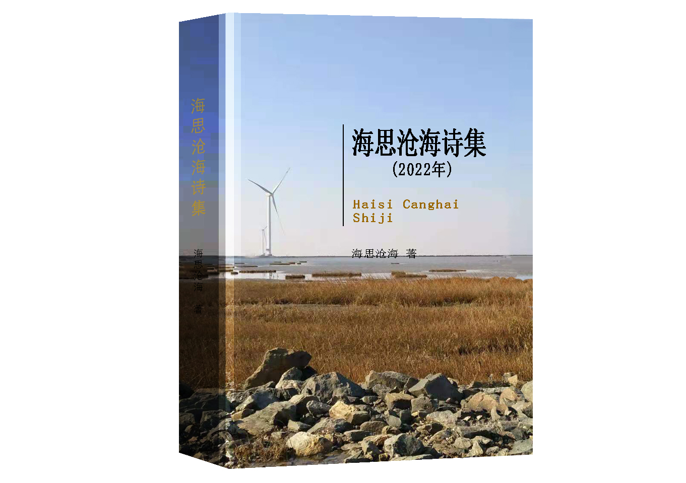 海思沧海：浪语轻吟间的诗意栖居