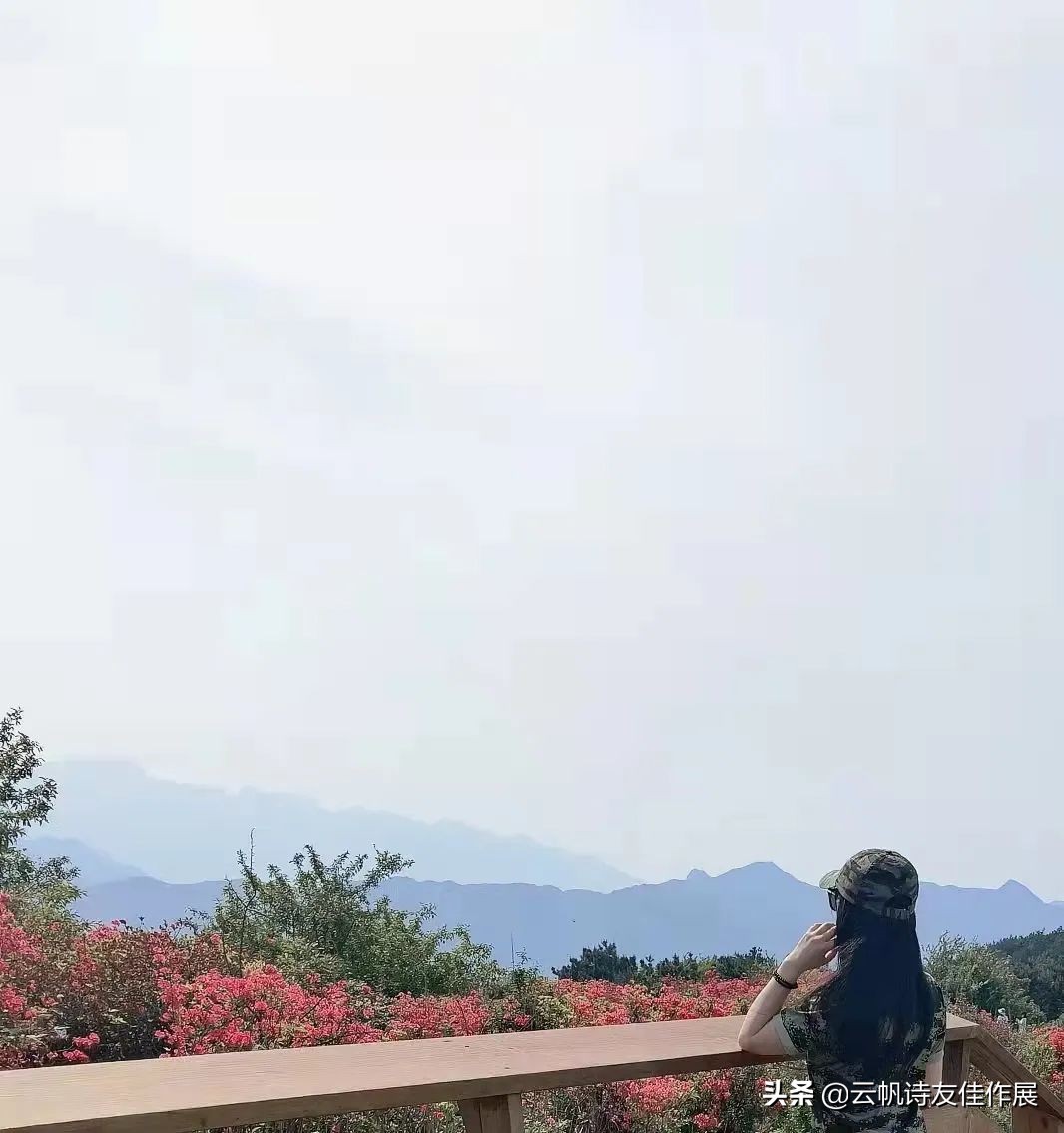 「特别推荐」林丫头：《侧身集》辛丑存稿