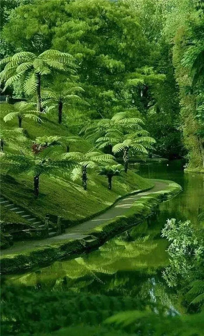 62幅大自然美景,如入仙境一般,令人心旷神怡