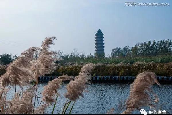 真诚的朋友、可亲的长辈、有良心的医生