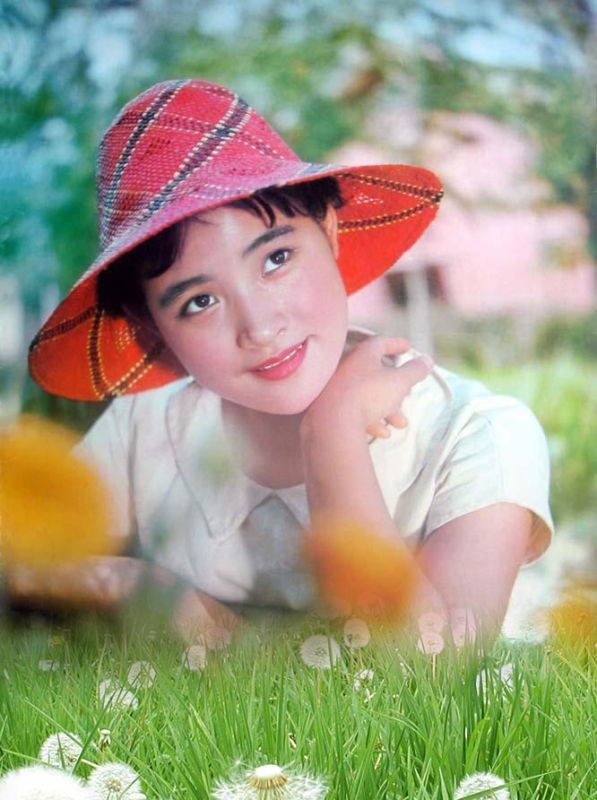 中华英雄这部剧有好几个版本(好可惜,四位著名老戏骨被永久取消"国家