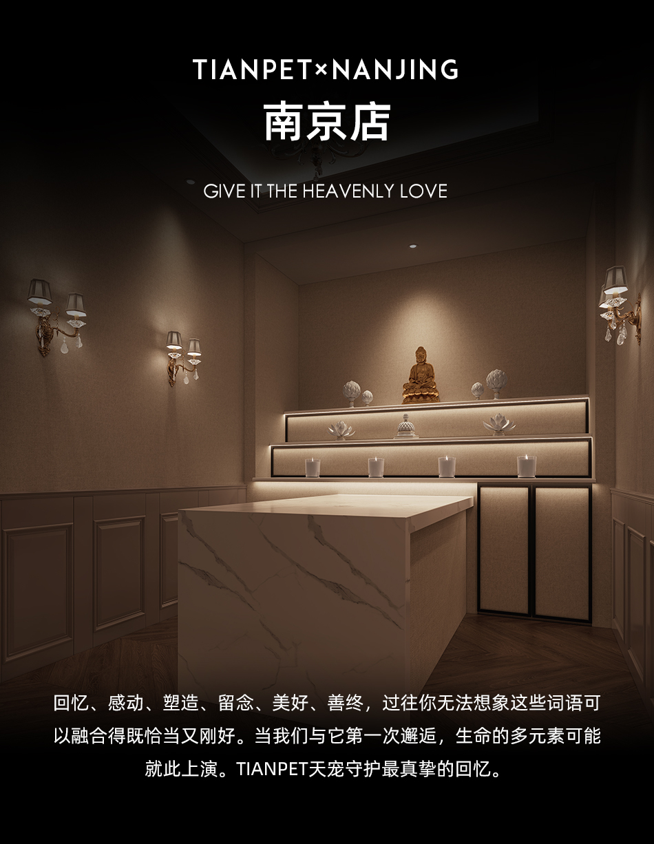 �Ͼ���������������TIANPET���499��ר�����ţ����ķ���