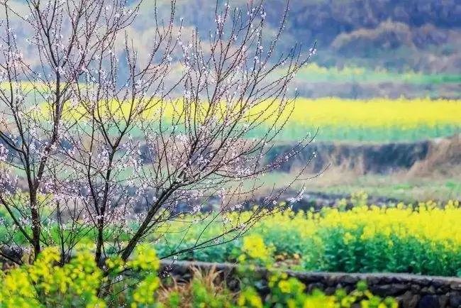 中国，面朝大海，春暖花开