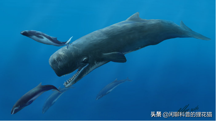 盘点史前海洋十大巨兽，从寒武纪走过始新世，每个时代顶级捕食者