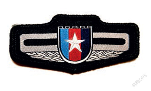 你没见过的红色徽章记忆