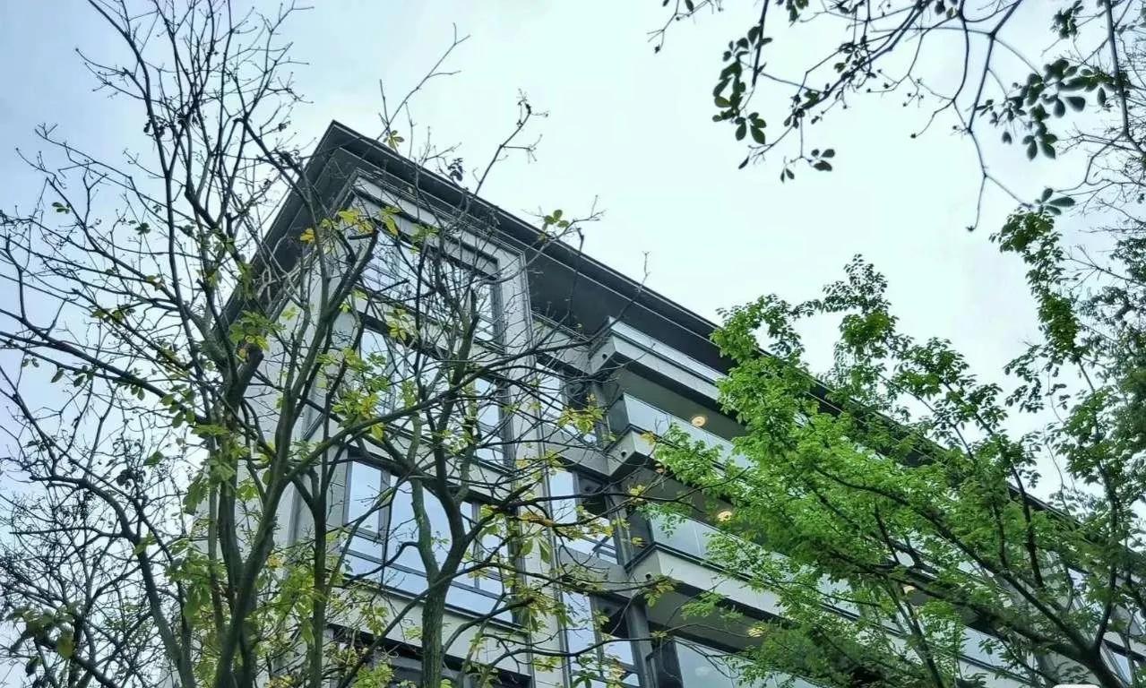 买了一套三楼150平的洋房，装修效果很惊艳，邻居直呼太好看了
