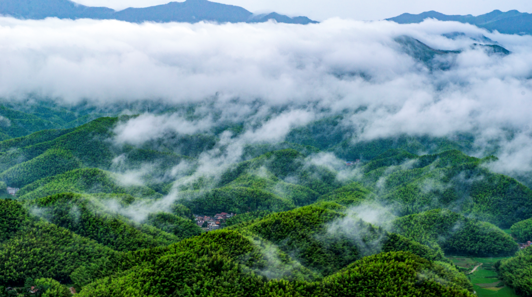 黄石人，咸宁这些旅游景区等你来