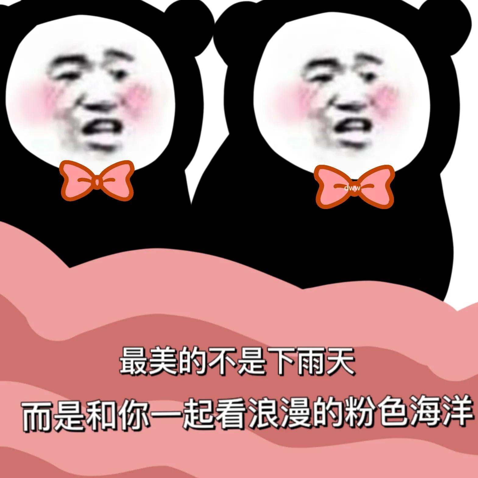 秋刀鱼的滋味，周杰伦的新专辑，猫和我都想了解