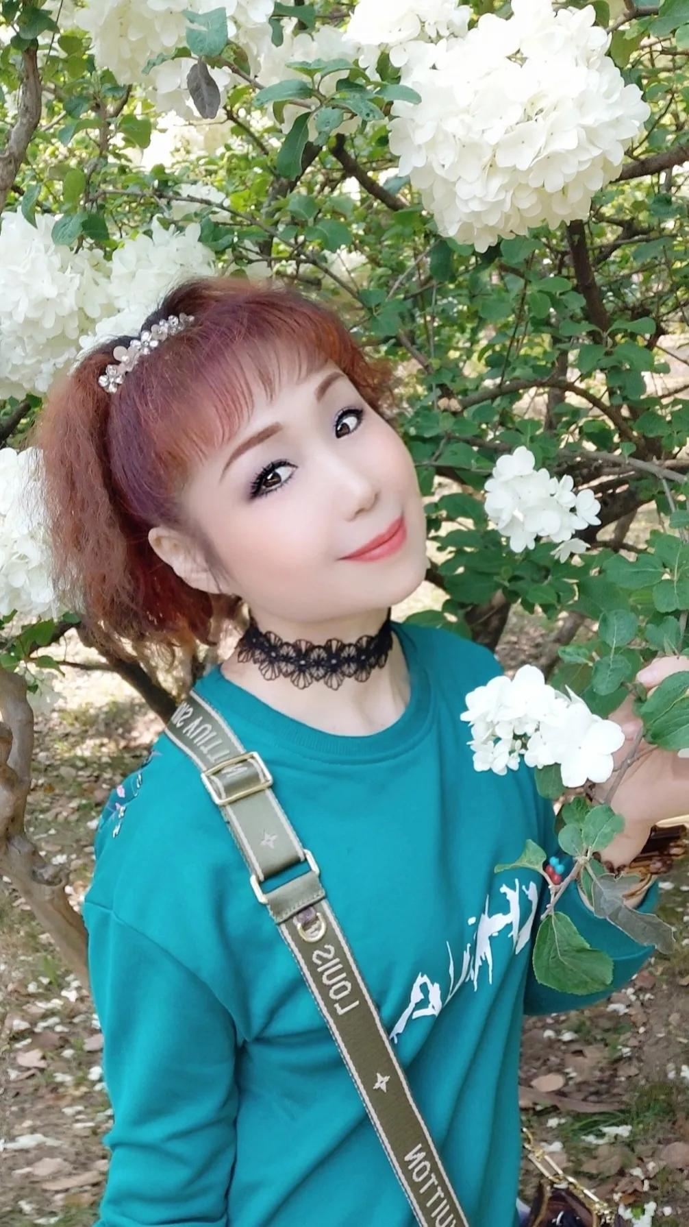 苏州美丽的盘门景区