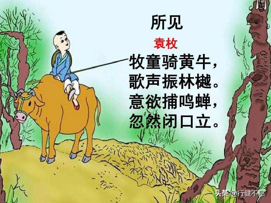 翻看照片回忆的诗句图片