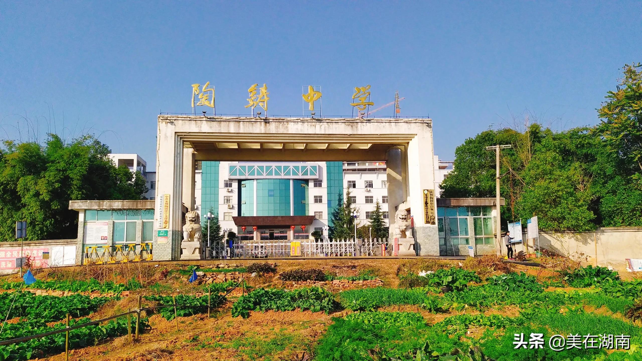 祁阳四中2017高考成绩,祁阳四中2022