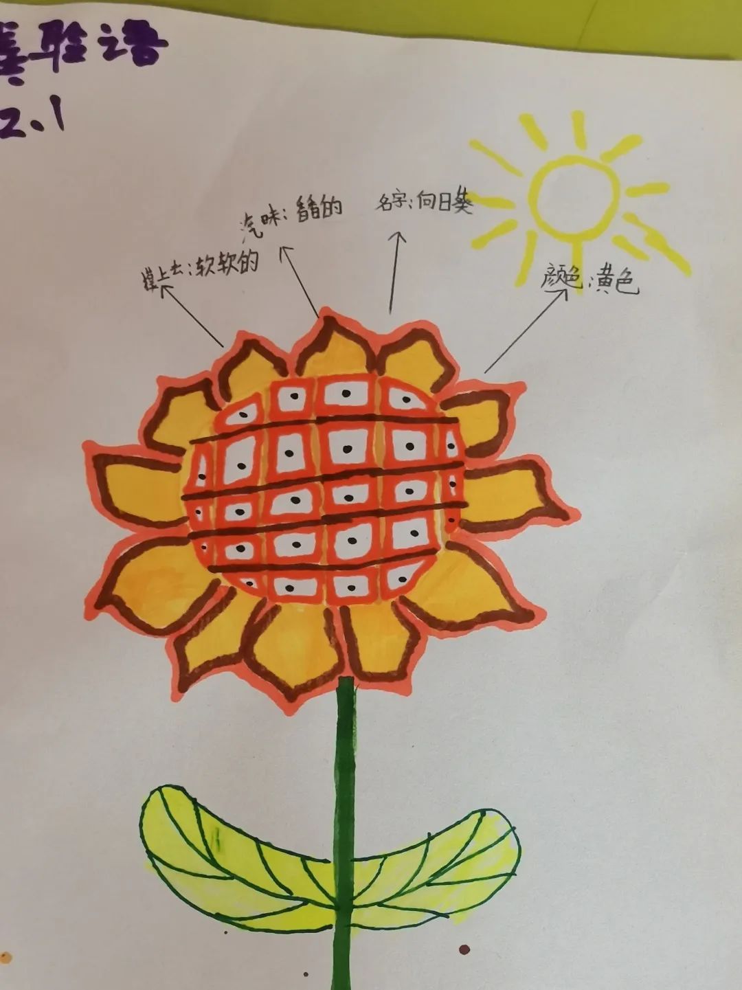 我爱我 从探索生命开始｜成都市双流区九江小学开展一系列活动